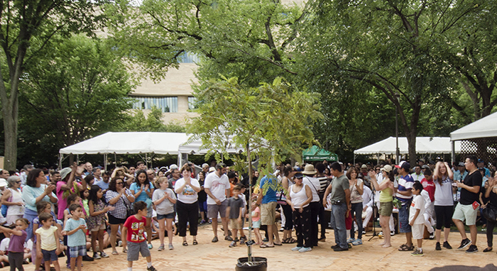 Ring Around the Yunsa Tree: The Harvest Dance of El Carmen