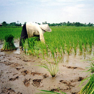 Mekong Lifeways: The stories of six communities