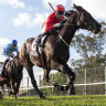 Exoboom gives Clipperton win 500 in Hawkesbury Guineas