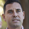 Greens MP Alex Greenwich dissented fro the majority.