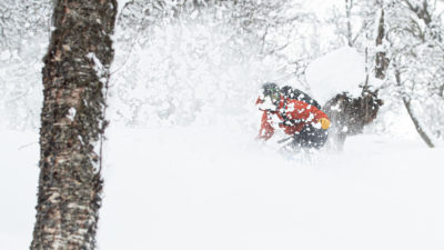 bilde fra Sogndal Skisenter - Hodlekve