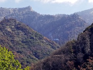 This photo provided by the National Park Service shows what appears to be a smoldering tree in Sequoia National Park on April 22, 2021. A giant sequoia has been found smoldering and smoking in an area of Sequoia National Park burned by one of the huge wildfires that scorched California last year. The National Park Service said Wednesday, May 5, 2021, that the cause of the tree fire appears to be the 2020 Castle Fire