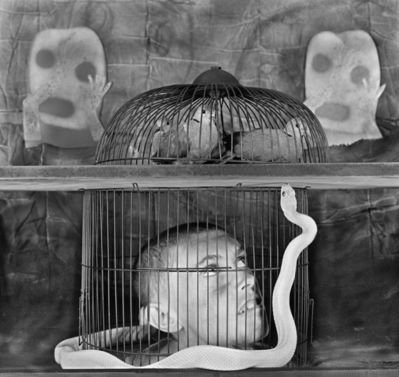 Roger Ballen, ‘Caged’, 2011