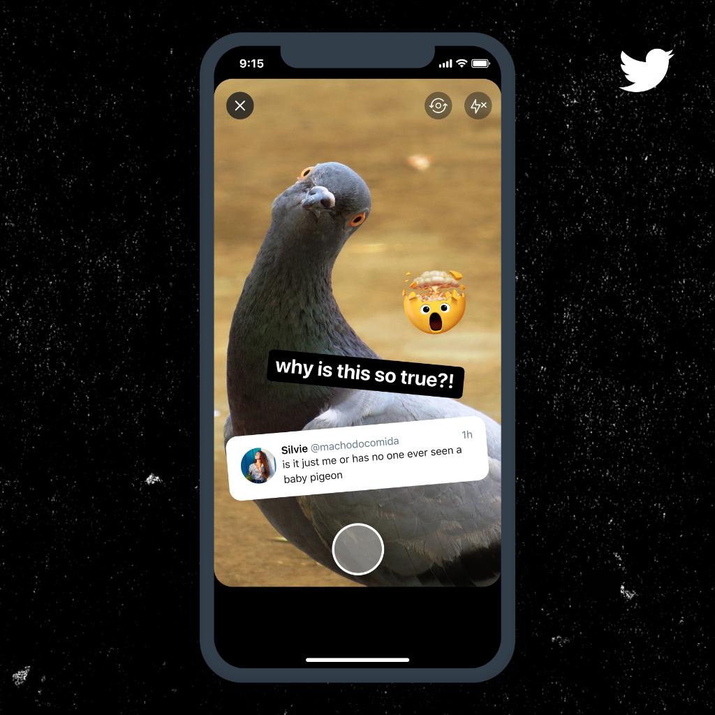 A Fleet featuring a Tweet from @machodocomida that states: “is it just me or has no one seen a baby pigeon” with an image of a pigeon in the background and text that reads: "why is this so true?"