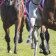 Quirindi hosts a seven-race card on Monday.