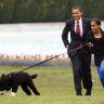 Malia Obama runs with Bo, followed by President Barack Obama and Sasha Obama, on the South Lawn of the White House in Washington in 2009. Bo has died after a battle with cancer, the Obamas said on social media. 