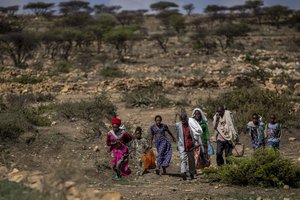 People walk from a rural area towards a nearby town where a food distribution operated by the Relief Society of Tigray was taking place, near the town of Agula, in the Tigray region of northern Ethiopia Saturday, May 8, 2021.