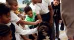 barack obama, michelle obama, barack obama michelle obama, barack obama pet dog, michelle obama pet dog, indian express, indian express news