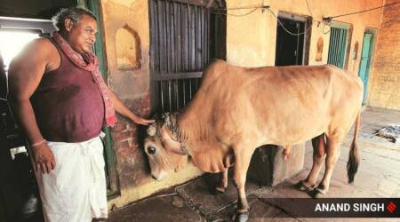 varanasi's dom raja news, dom raja passes away, dom raja death news, Jagdish Chaudhary, who was dom raja, 2019 lok sabha elections, Varanasi, Varanasi voting, Varanasi elections, Narendra Modi, PM Modi, Doms, Dom community,indian express