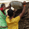 Villagers pile up cow dung to prepare cow dung cake, used as fuel,  at Ganeshpur village, Uttar Pradesh state, India.