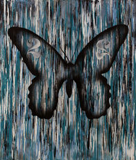 Butterfly22