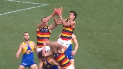 Adelaide youngster Charlie McAdam skies high against the Eagles.