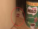 Mouse bait in cupboard