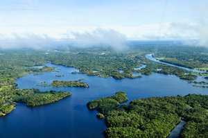 Aerial view of the Amazon Rainforest, near Manaus, the capital of the Brazilian state of Amazonas, Brazil.Photo by Neil Palmer/CIAT%lt;a href=