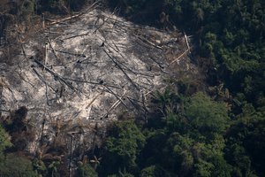 An area left scorched by fires is seen in the Menkragnoti indigenous reserve of the Kayapo indigenous group of Amazon rainforest in Altamira, Para state, Brazil, Wednesday, Aug. 28, 2019.