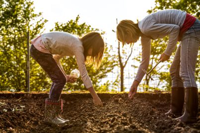 A go-to guide to growing winter vegetables