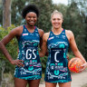 Indigenous affairs: The controversy netball had to have