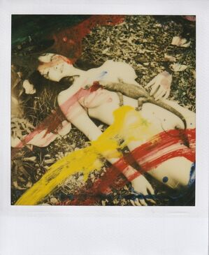 Overpainted polaroid