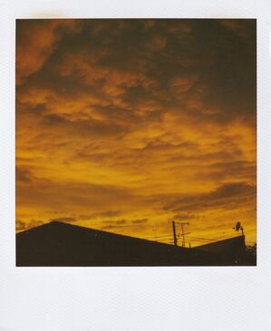 Skyscape polaroid