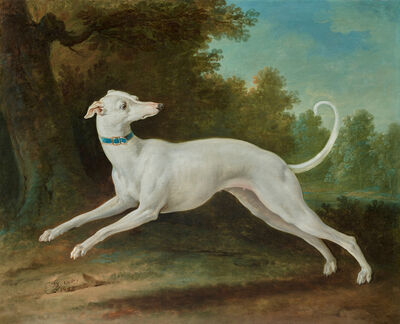 Jean-Baptiste Oudry, ‘White Greyhound’, 1748