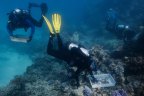 Great Barrier Reef Foundation is working with the University of Technology Sydney and five local tourism operators to plant 100,000 healthy corals on reefs in the Cairns and Port Douglas region.

The corals, grown in underwater nurseries from salvaged broken fragments, are being attached using CoralclipÂ® â an innovative device that fast-tracks coral restoration.
Â 
The clips join the corals to the Reef to rehabilitate damaged areas and boost the resilience of healthy areas without the need for chemical bonding agents. It is faster and cheaper than traditional methods and has contributed to an impressive planted coral survival rate of 85%. This was invented by John Edmondson - who co owns Wavelength, one of the tourism operators involved.

We travelled onboard the Wavelength and visited the sites theyâre helping to habilitate.

Photographed Wednesday 2nd June 2021. Photograph by James Brickwood. SMH NEWS 210602
