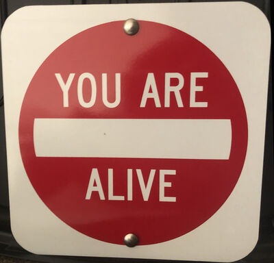 Scott Froschauer, ‘"You Are Alive" - Contemporary Street Sign Sculpture’, 2019