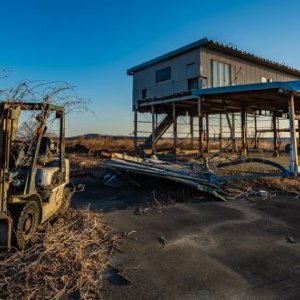 The abandoned remains of a forklift overgrown with trees, next to a destroyed beachfront house in Futaba, Fukushima. Credit: C.E.J. Simons.Credit: C.E.J. Simons.