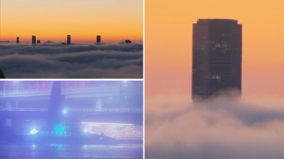 Thick fog blankets Brisbane