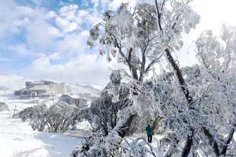 Mount Hotham.