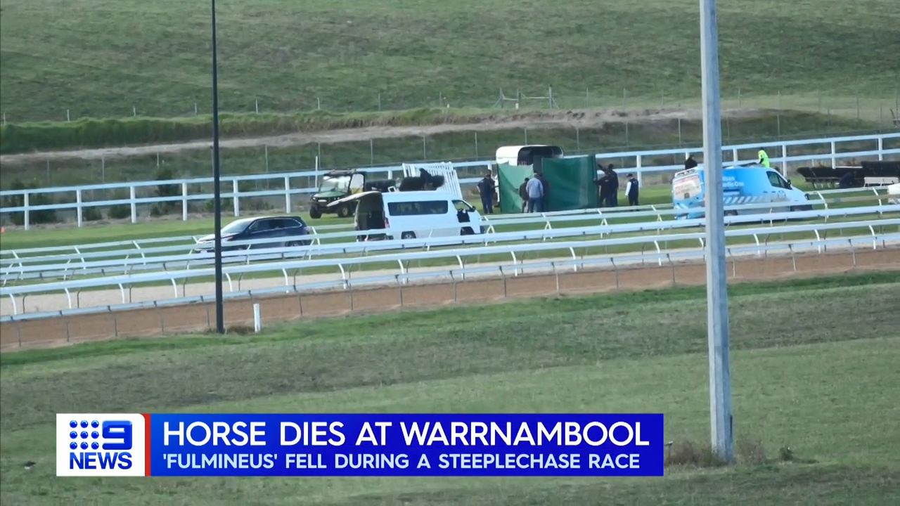 Warrnambool carnival marred by horse's death