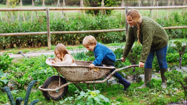 Six jobs to do in the garden this winter