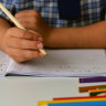 Home schooling due to COVID could leave a “lost generation” of young people, the OECD has warned.