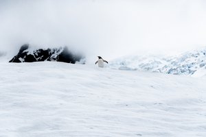 Antarctica, the southernmost continent and site of the South Pole, is a virtually uninhabited, ice-covered landmass, June 10, 2020.