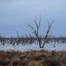 The Nationals want to halt water buy backs for environmental flows under the Murray Darling Basin plan.