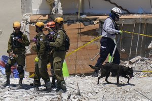 FILE - In this July 2, 2021, file photo, a dog aiding in the search walks past a team of Israeli search and rescue personnel, left, atop the rubble at the Champlain Towers South condominium in Surfside, Fla.