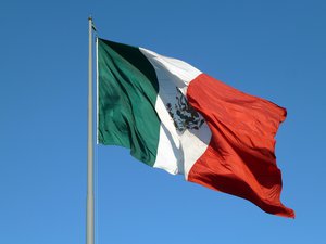 Mexico Flag