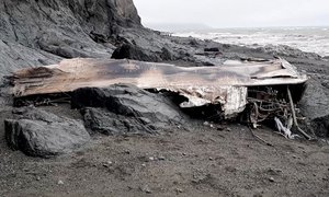 This photo taken from video released by the Russia Emergency Situations Ministry press service shows a part of the wreckage of a missing Antonov An-26 missing plane found