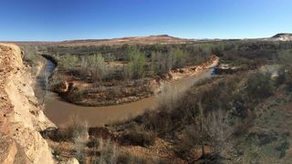 The San Rafael River is one place in Utah's desert where beaver populations can be supported, helping to restore the ecosystem (Credit: Emma Doden)