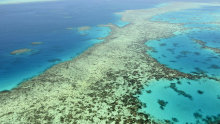 The Great Barrier Reef is not in danger according to UNESCO, and the Great Barrier Reef Foundation is certainly not in any financial danger.