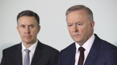 Shadow Minister for Health and Ageing Mark Butler and Opposition Leader Anthony Albanese.