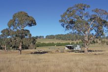 No house, just a shed: But the 110-acre property at 1067 Rochford Road, Newham in Victoria’s Macedon Ranges sold for $1.8 million. 