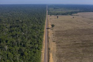 In this Nov. 25, 2019 file photo, highway BR-163 stretches between the Tapajos National Forest, left, and a soy field in Belterra, Para state, Brazil. Preliminary data released on June 4, 2021, signaled deforestation of Brazil’s Amazon in May 2021 extended this year's surge compared to 2020.