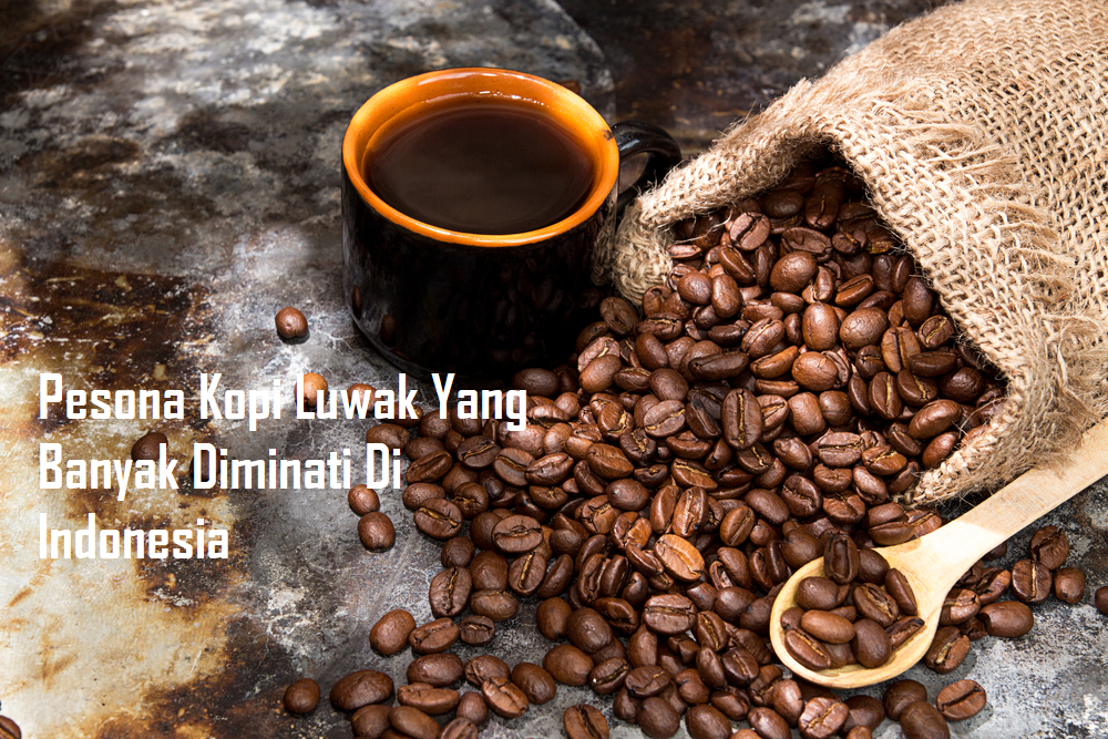 Pesona Kopi Luwak Yang Banyak Diminati Di Indonesia