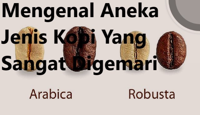 Mengenal Aneka Jenis Kopi Yang Sangat Digemari