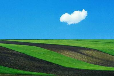 Franco Fontana, ‘Basilicata’, 1987