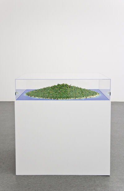 Tom Friedman, ‘Island’, 2009