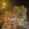 A driver walked away despite this tree falling on his car on the Mitchell Freeway on Saturday night.