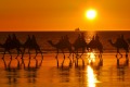 Cable Beach, Broome. A West Australian sunset is something to behold.