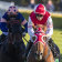 Opacity (right) wins at Randwick on June  12. 