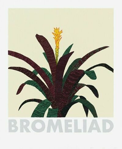 Jonas Wood, ‘Bromelaid’, 2020